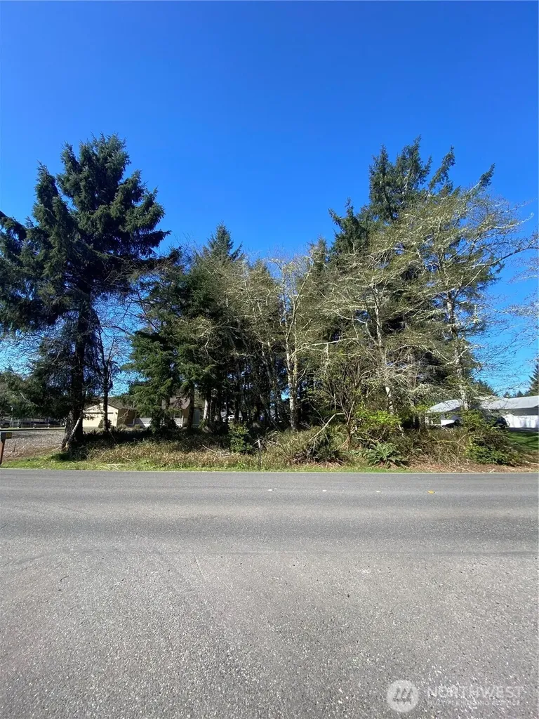 135 Duck Lake Drive NE Ocean Shores WA 98569