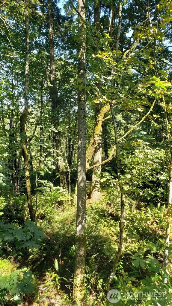 120 SE May Creek Park Drive Newcastle WA 98059