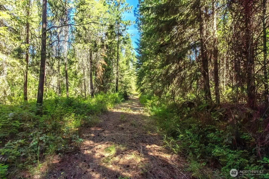 2443 Eagle Lambert Road Chewelah WA 99109