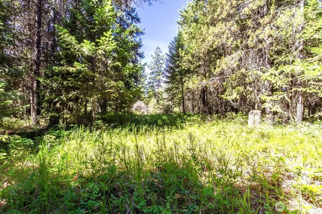 2443 Eagle Lambert Road Chewelah WA 99109