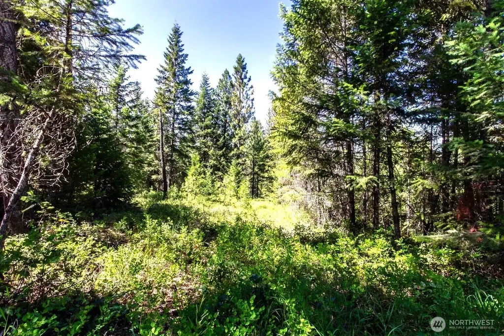 2443 Eagle Lambert Road Chewelah WA 99109
