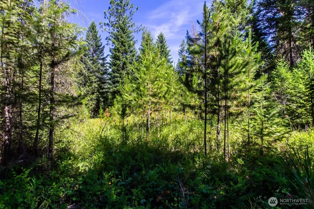 2443 Eagle Lambert Road Chewelah WA 99109