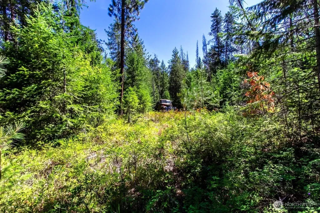 2443 Eagle Lambert Road Chewelah WA 99109