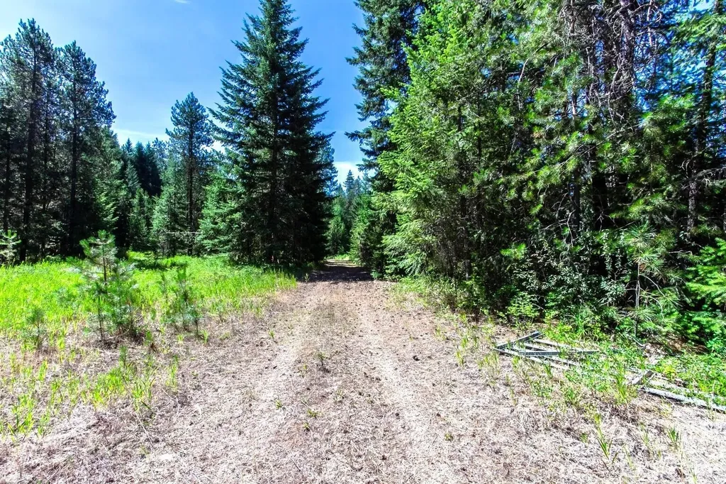 2443 Eagle Lambert Road Chewelah WA 99109