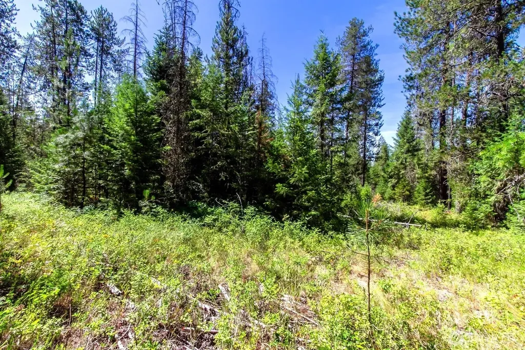 2443 Eagle Lambert Road Chewelah WA 99109
