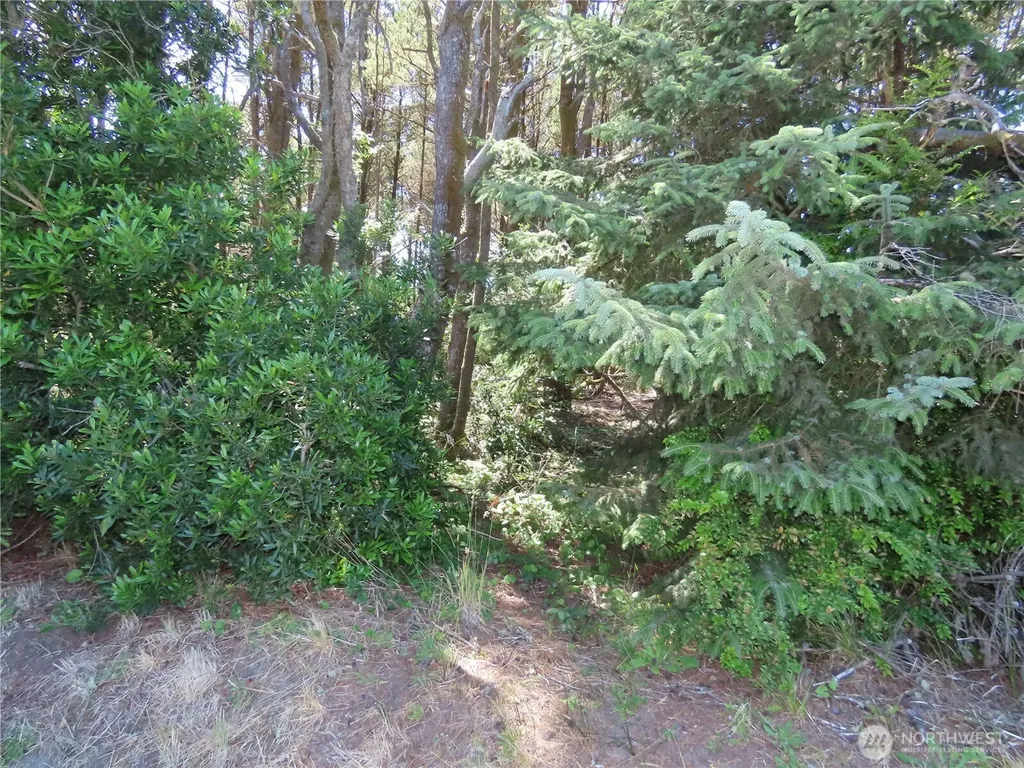 0 Surf Street Westport WA 98595