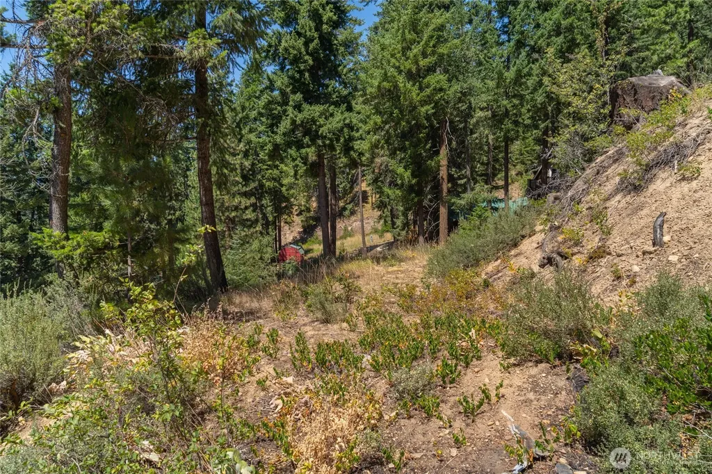 25601 Camp 12 Road Leavenworth WA 98826