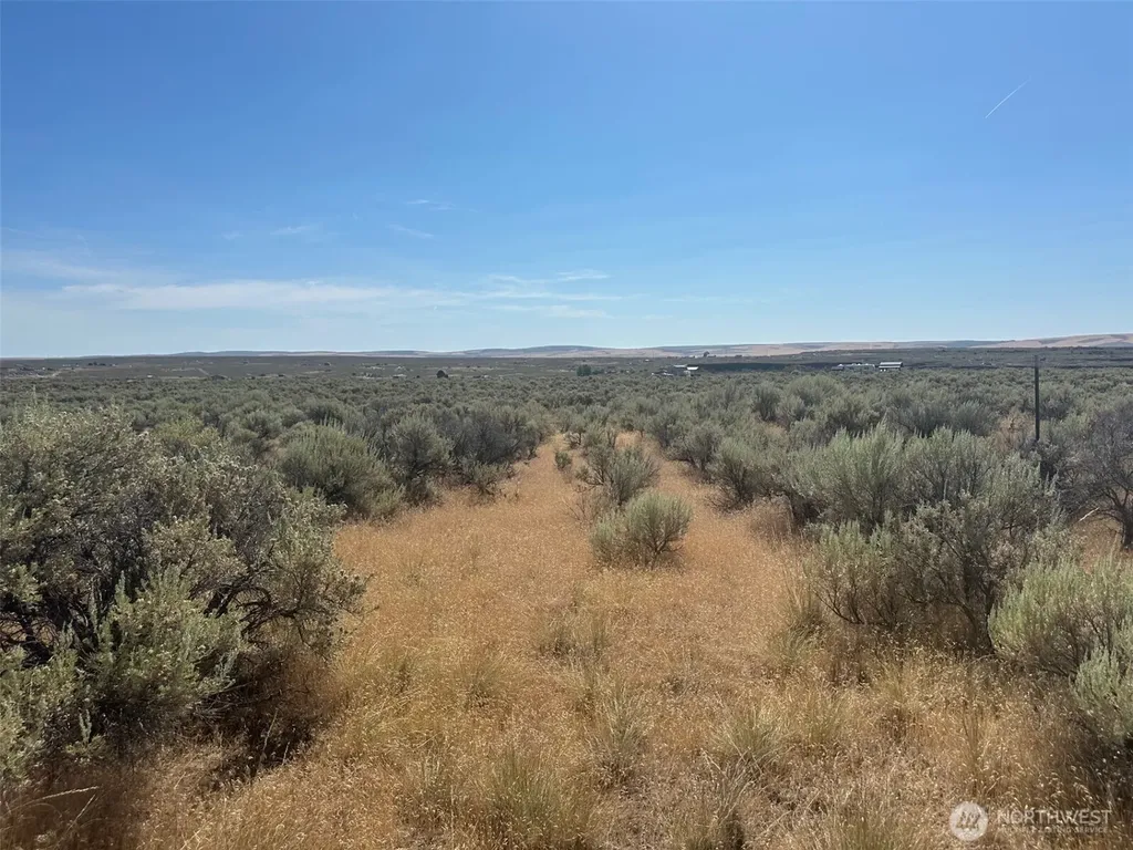 1540 Paso Fino Drive Ephrata WA 98823