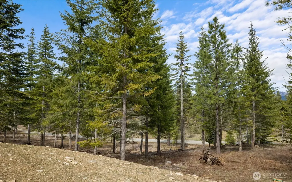 63 Liberty Bell Lane Cle Elum WA 98922
