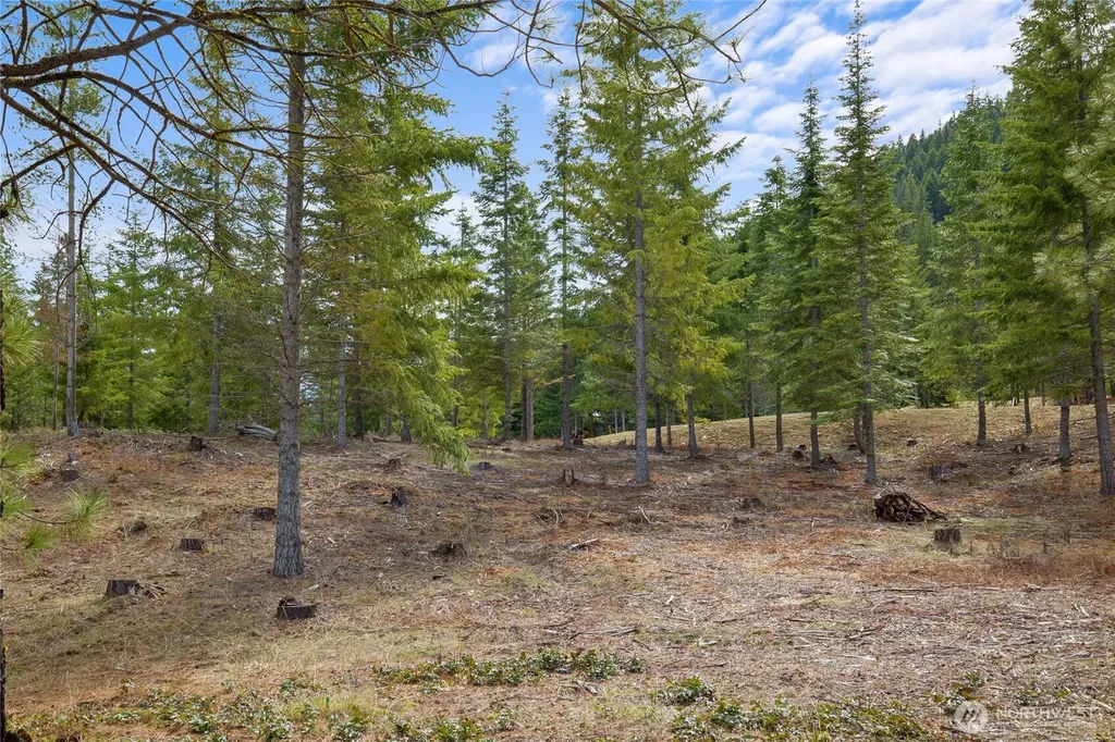 63 Liberty Bell Lane Cle Elum WA 98922