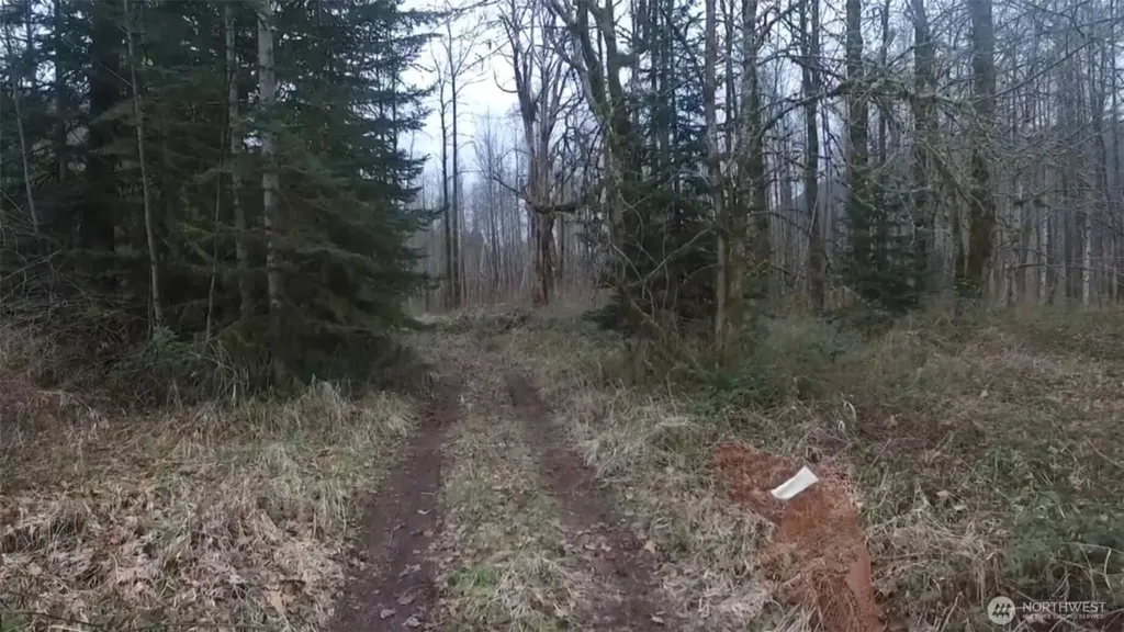 841 W Main Morton WA 98356