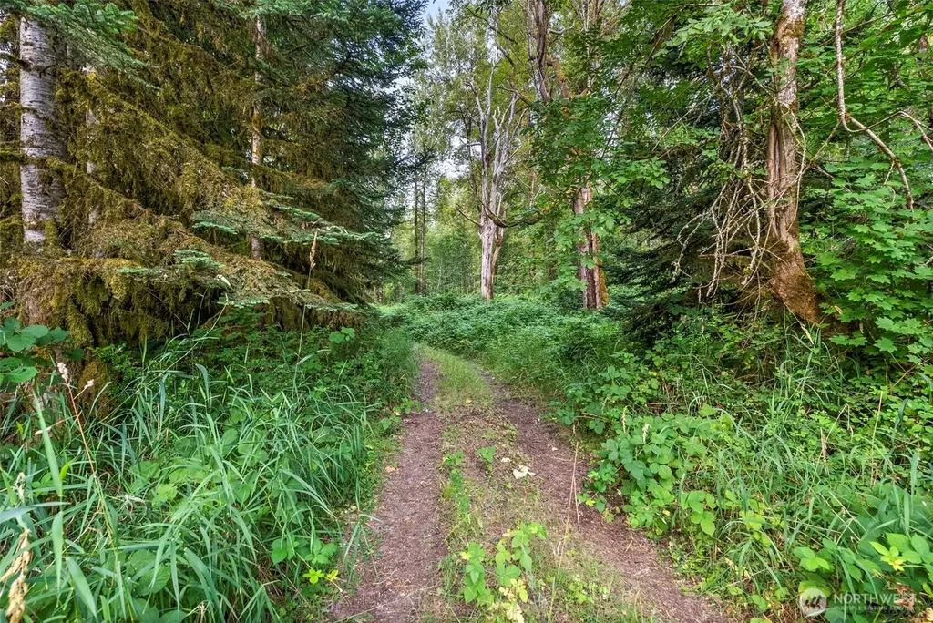 841 W Main Morton WA 98356
