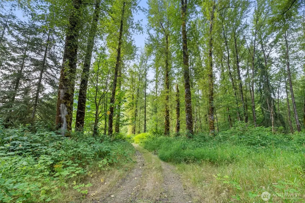 841 W Main Morton WA 98356