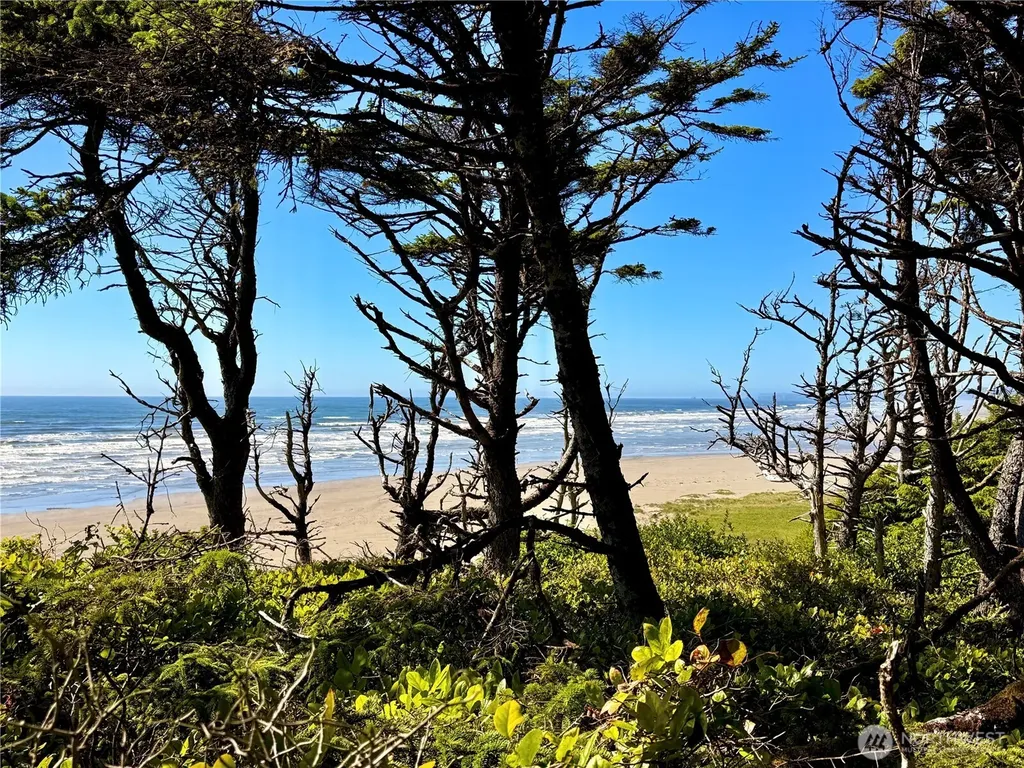 57 Koala Lane Pacific Beach WA 98571