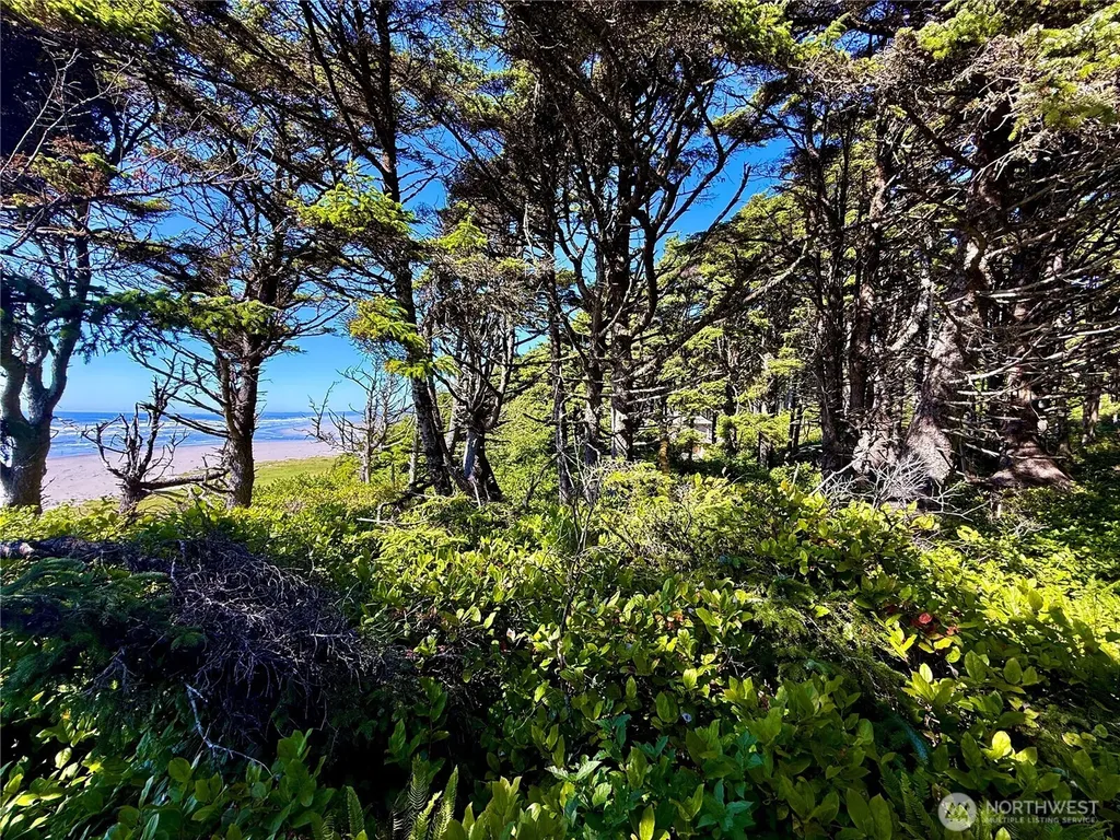 57 Koala Lane Pacific Beach WA 98571