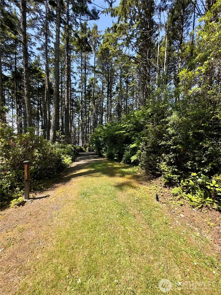 57 Koala Lane Pacific Beach WA 98571