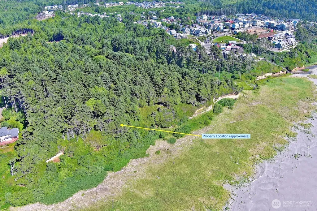 57 Koala Lane Pacific Beach WA 98571
