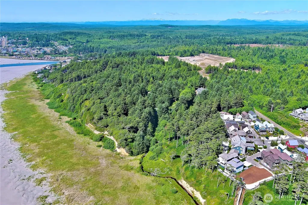 57 Koala Lane Pacific Beach WA 98571