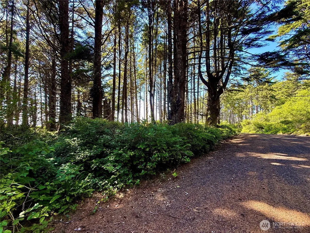 57 Koala Lane Pacific Beach WA 98571