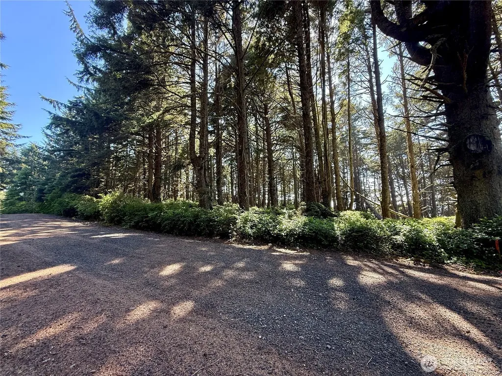 57 Koala Lane Pacific Beach WA 98571