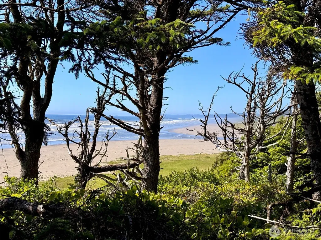 57 Koala Lane Pacific Beach WA 98571