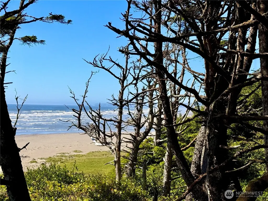57 Koala Lane Pacific Beach WA 98571
