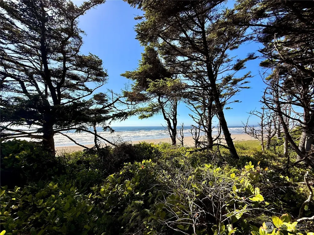 57 Koala Lane Pacific Beach WA 98571