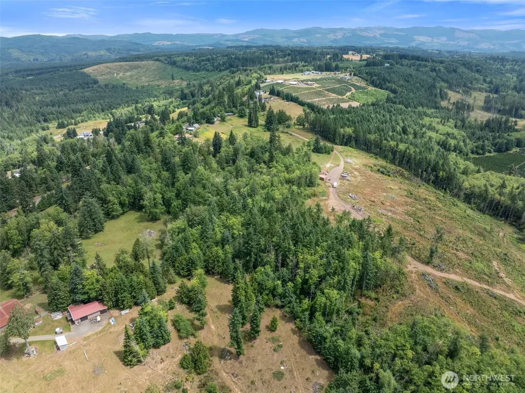 148 Burnt Ridge Road Onalaska WA 98570