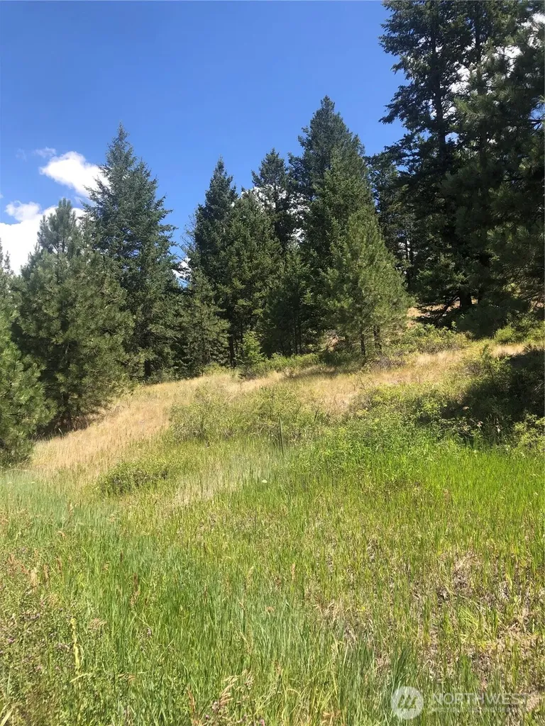 22 Pine Chee Road Oroville WA 98844