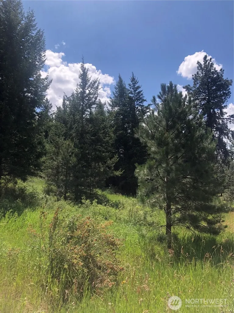 22 Pine Chee Road Oroville WA 98844