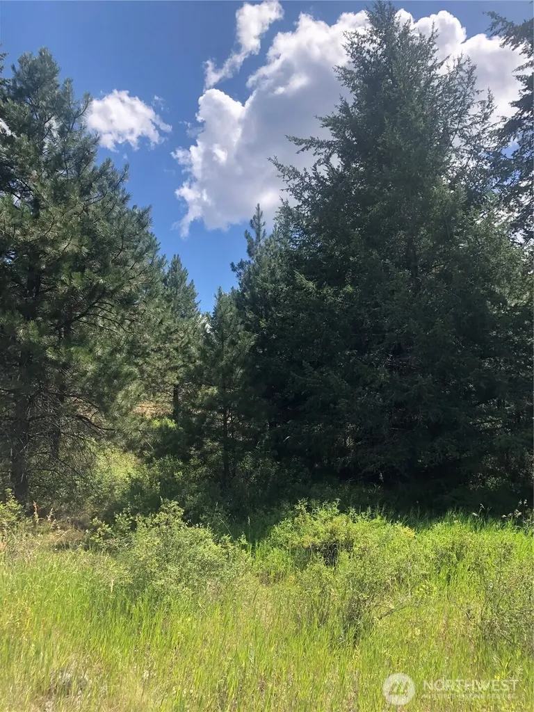 22 Pine Chee Road Oroville WA 98844