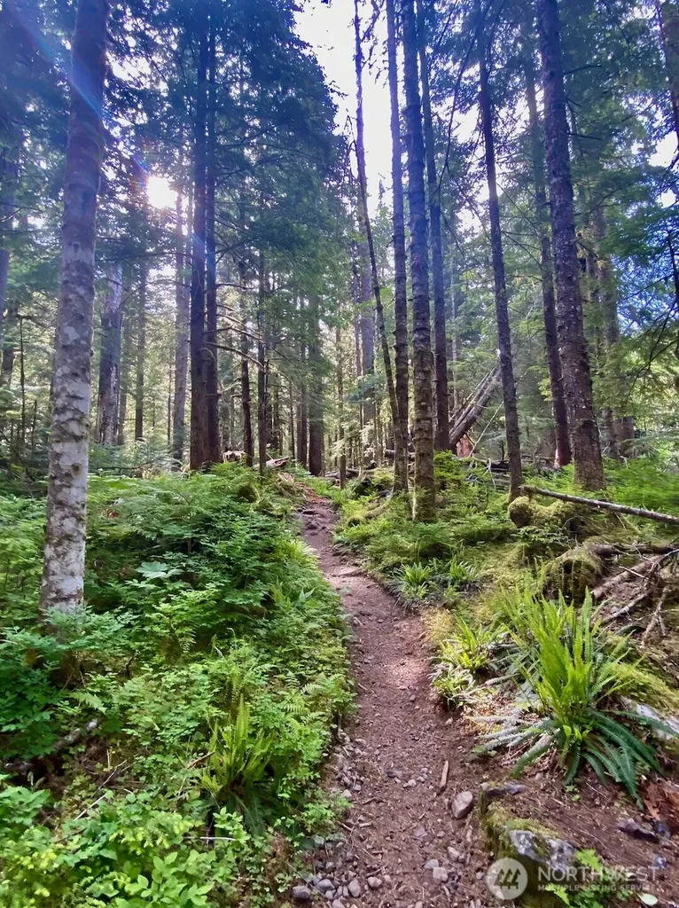 0 Mountain Loop Highway Granite Falls WA 98252
