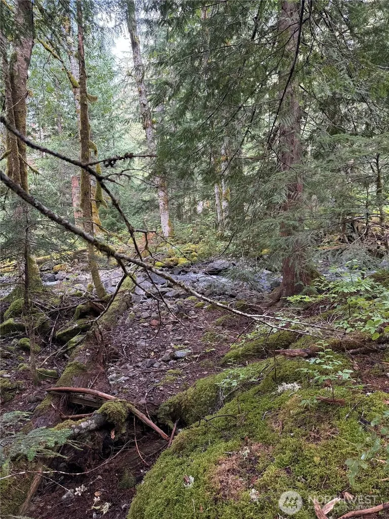 0 Mountain Loop Highway Granite Falls WA 98252