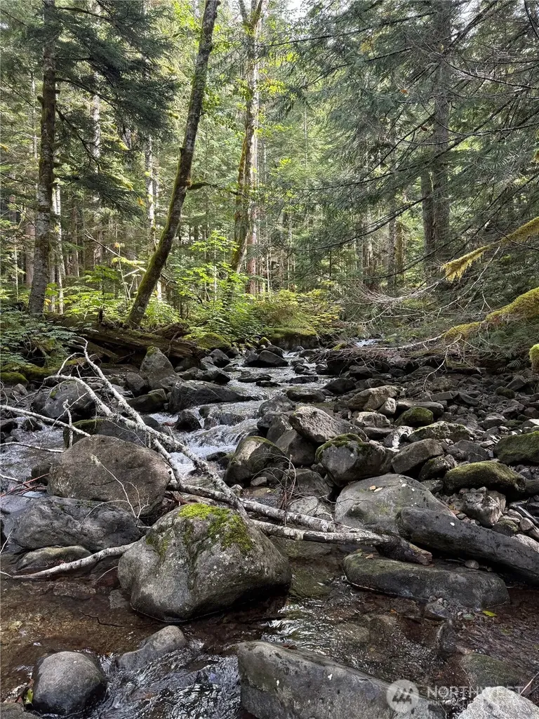 0 Mountain Loop Highway Granite Falls WA 98252