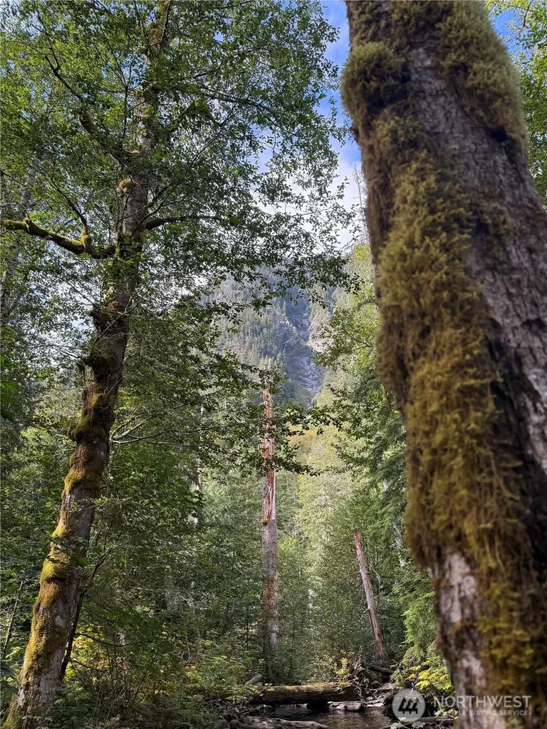 0 Mountain Loop Highway Granite Falls WA 98252