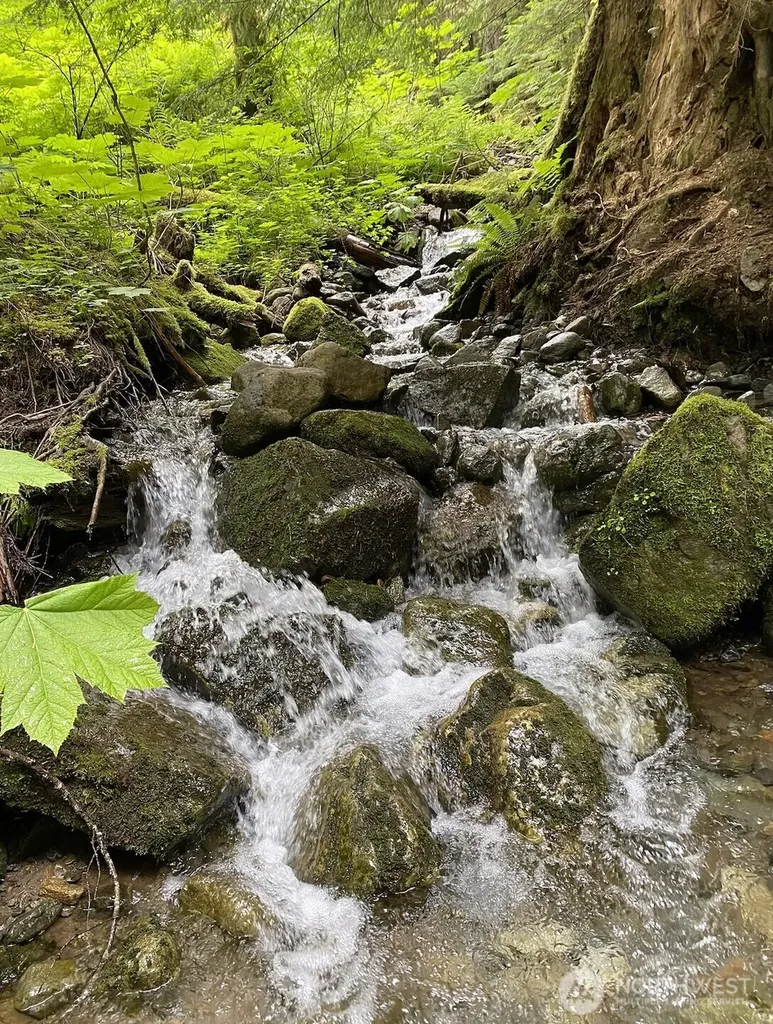 0 Mountain Loop Highway Granite Falls WA 98252