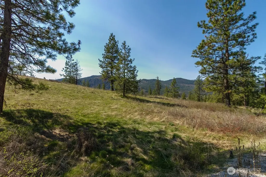 1622 Palmer Loop Chewelah WA 99109