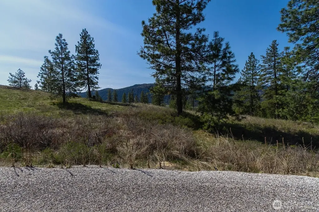 1622 Palmer Loop Chewelah WA 99109