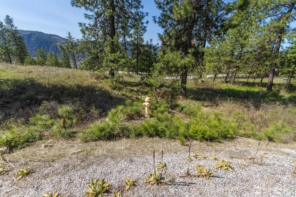 1622 Palmer Loop Chewelah WA 99109