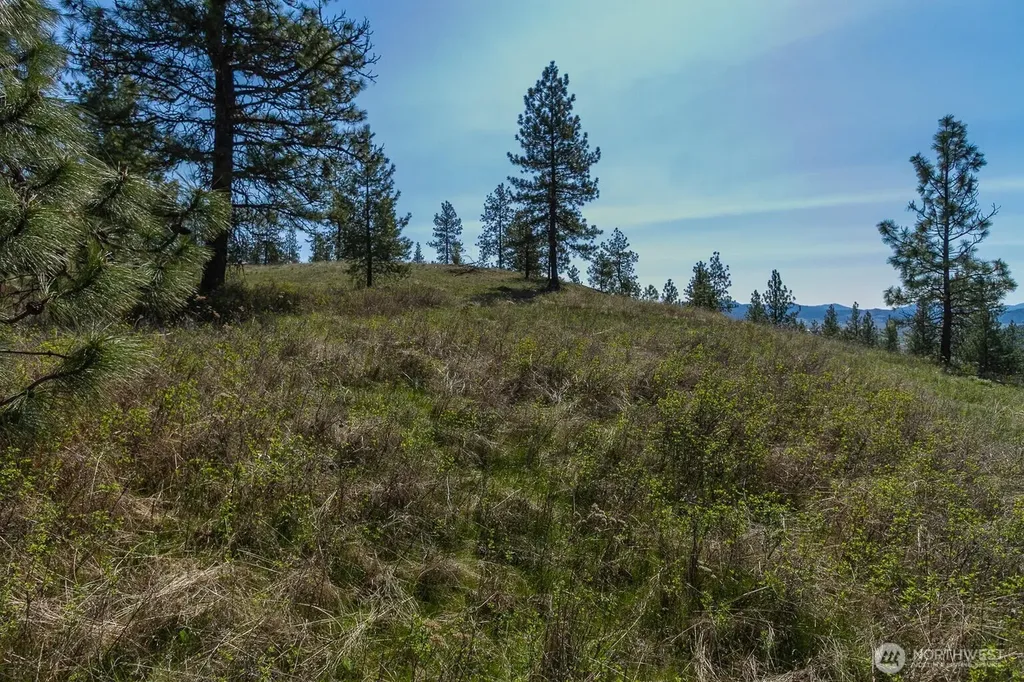 1622 Palmer Loop Chewelah WA 99109