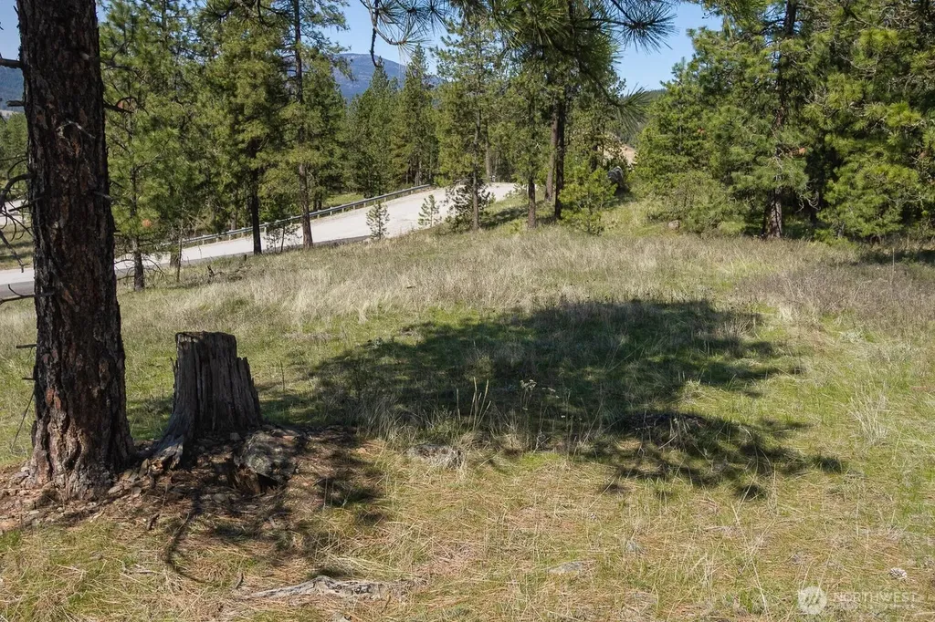 1622 Palmer Loop Chewelah WA 99109
