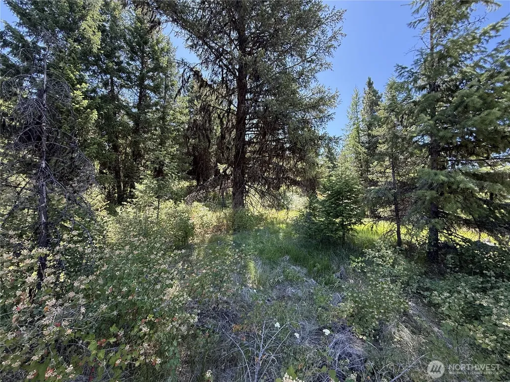 135 Slippery Hill Lane Republic WA 99166