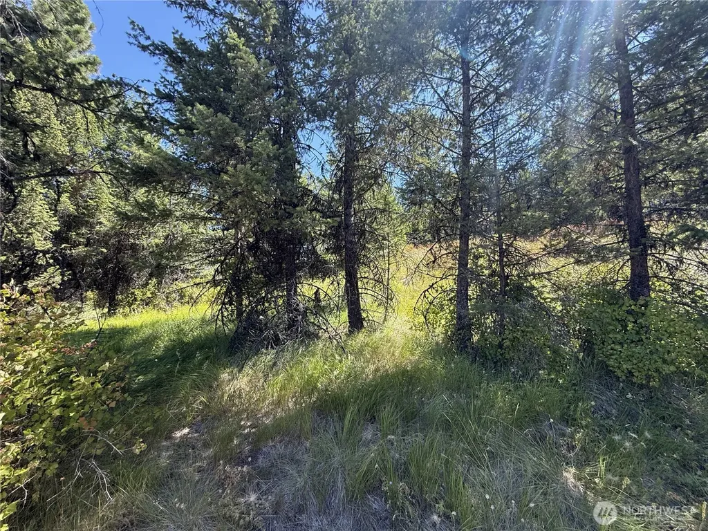 135 Slippery Hill Lane Republic WA 99166