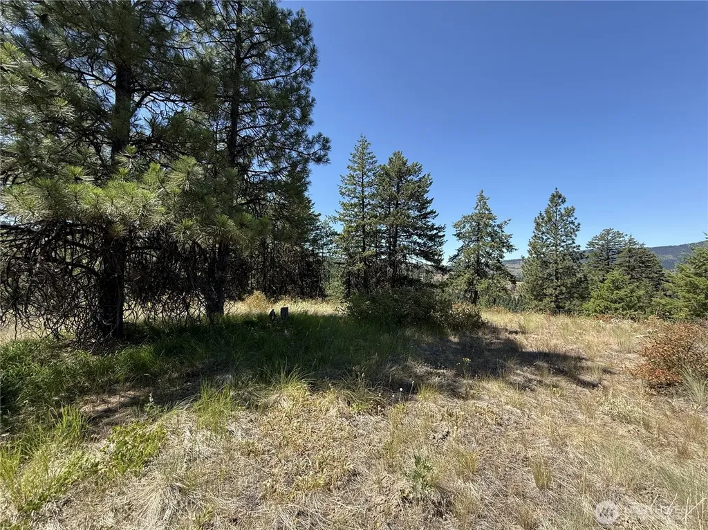 135 Slippery Hill Lane Republic WA 99166