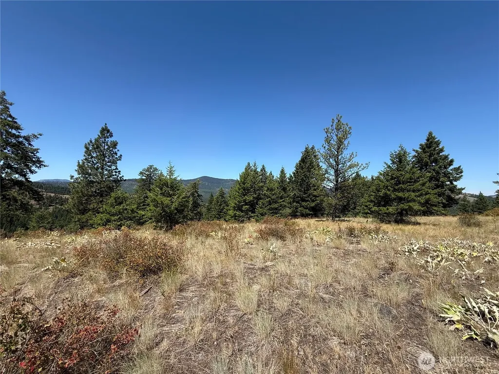 135 Slippery Hill Lane Republic WA 99166