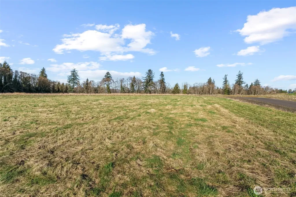 38 Sunnyfield Drive Cathlamet WA 98612