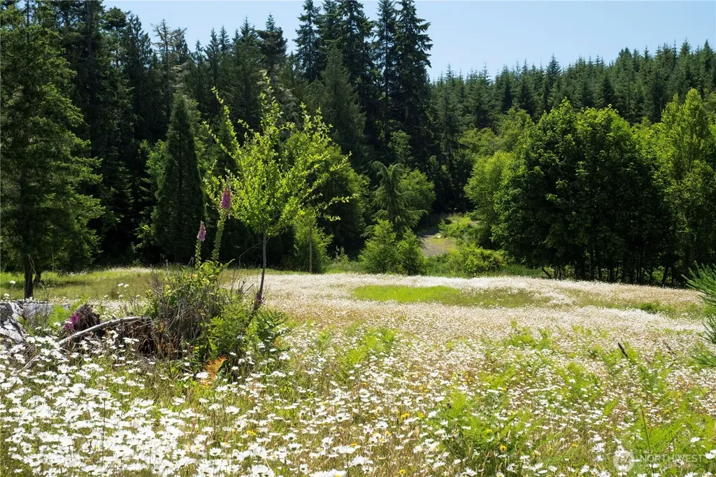 1048 Peters Road Port Angeles WA 98363