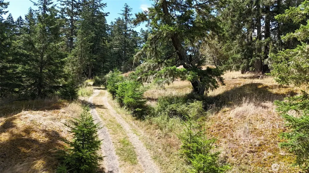 0 Woodpecker Lane Friday Harbor WA 98250