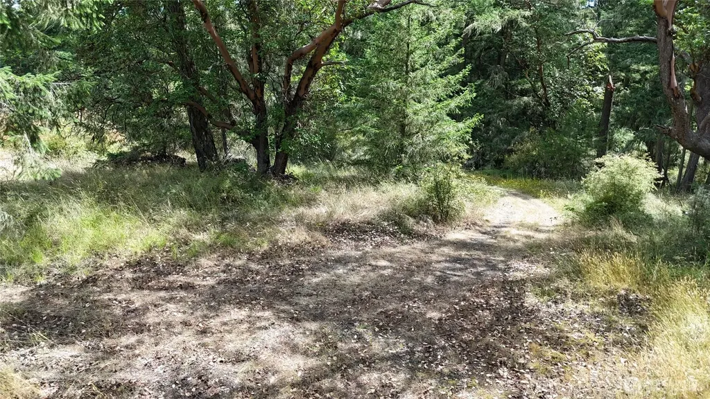 0 Woodpecker Lane Friday Harbor WA 98250
