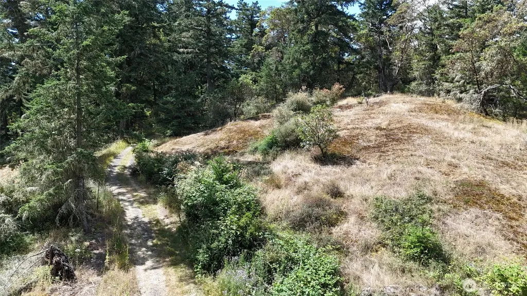 0 Woodpecker Lane Friday Harbor WA 98250